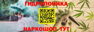 бошки Гусь-Хрустальный