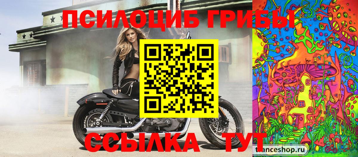 Псилоцибиновые грибы Magic Shrooms  Вход с VPN  Кандалакша 